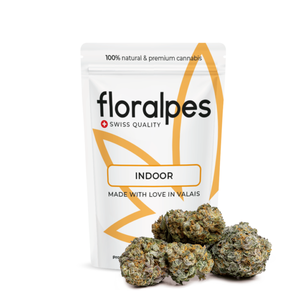 Cannabis CBD Gelato